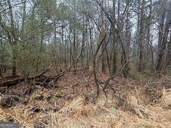 3rd image of 0 Dry Creek Rd