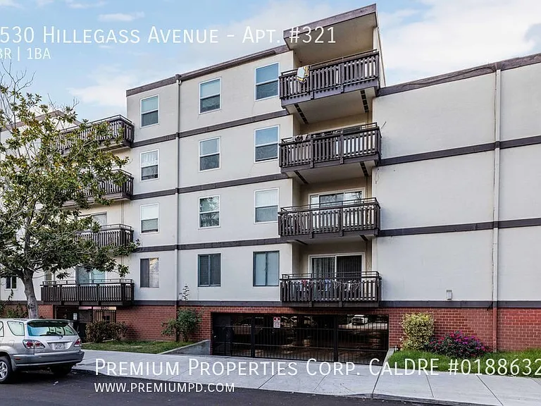 Hillegass Terrace — Photo 44