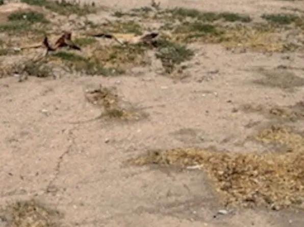 734 Broadway Ave, El Centro, CA 92243