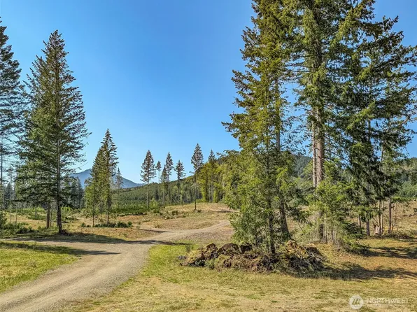 0 Craig Road Lot B3, Packwood, WA 98361