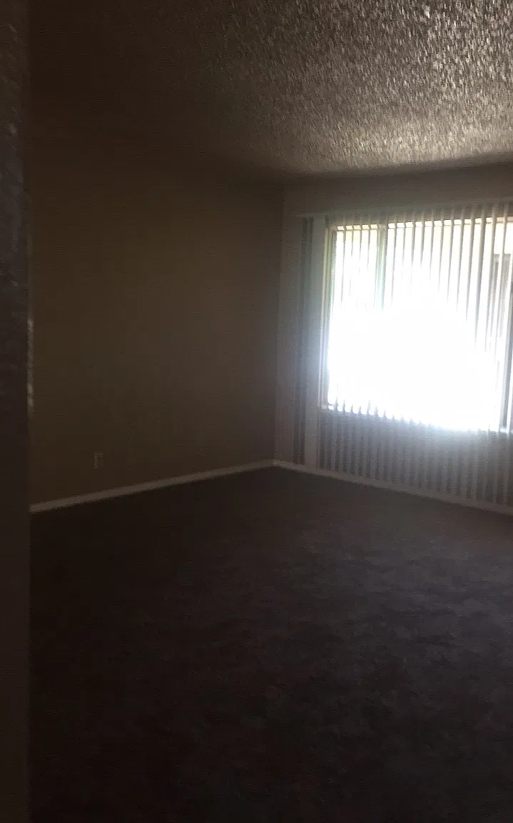 1 bed, $1,100 — Photo 2