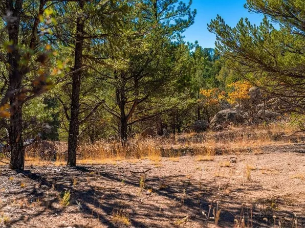 Tbd H Path, Cotopaxi, CO 81223