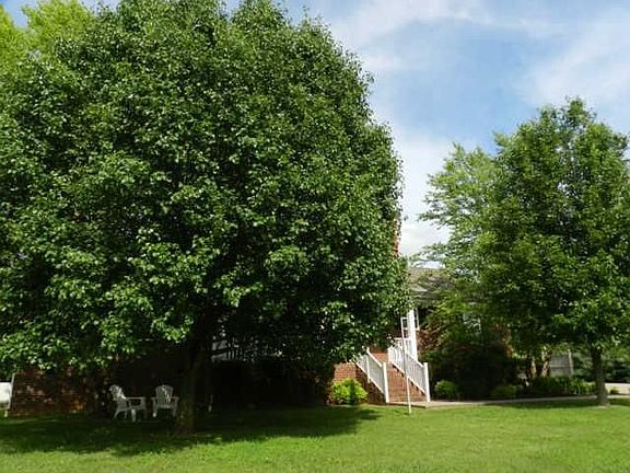 2nd image of 3432 Lakebrook Dr