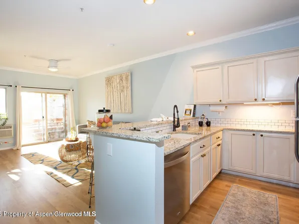 1400 E Valley Rd Unit 212, Basalt, CO 81621