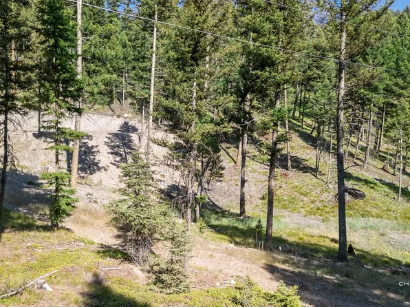 170 Leota Peak Ct, Seeley Lake, MT 59868
