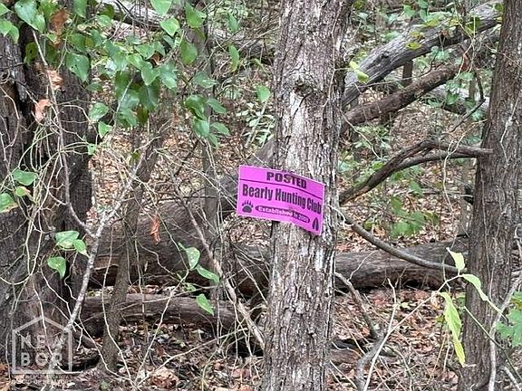 5th image of 1111 Bob Davis Mountain Rd