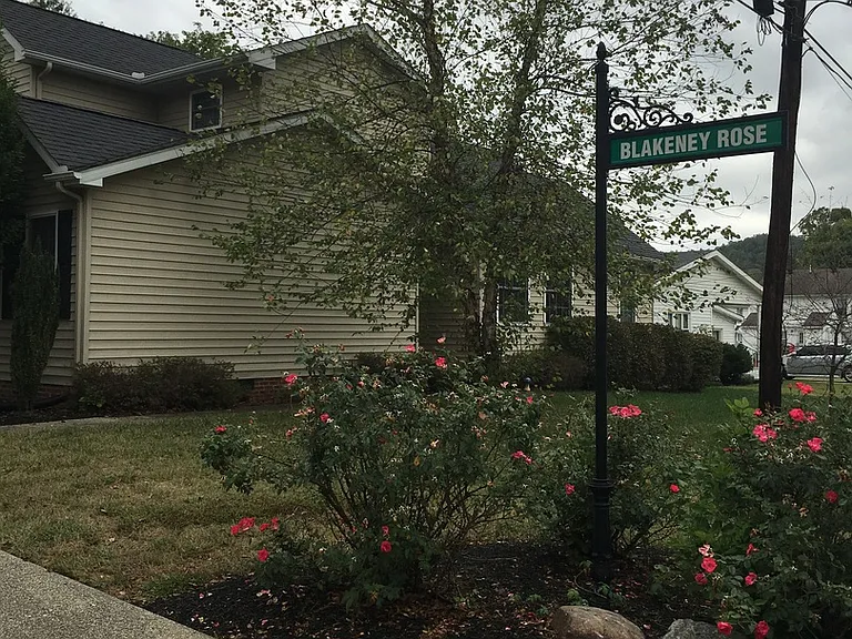 2 Blakeney Rose Ln — Photo 3