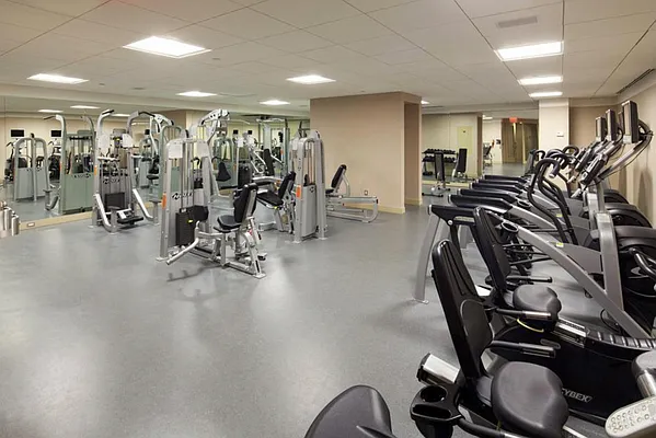 Rented by Synergy NYC | media 16