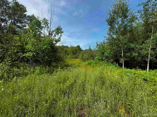 Bear Town Rd, Baraga, MI 49908