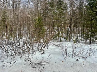 00 Loon Circle UNIT E9, Londonderry, VT, 05148
