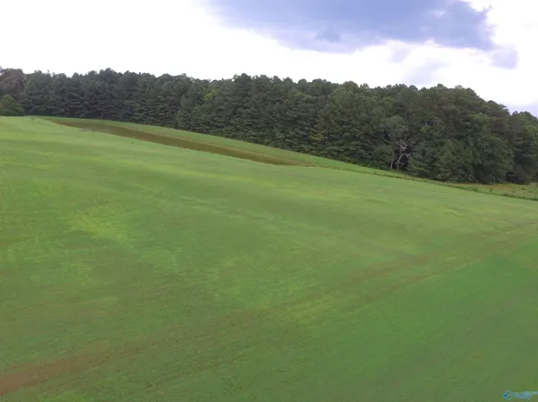 1 Lambert Rd, Elkmont, AL 35620