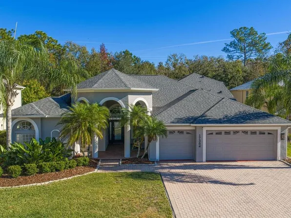 17384 Emerald Chase Dr, Tampa, FL 33647