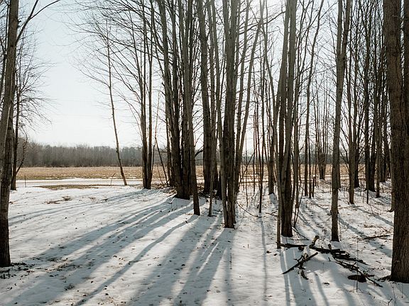 2nd image of 9380 Babbitt Rd