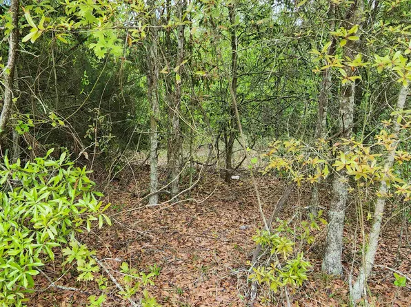 Vacant Se Camelot Way, Lee, FL 32059