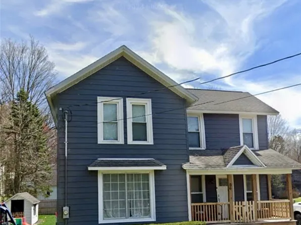 56 Mill St, Springville, NY 14141