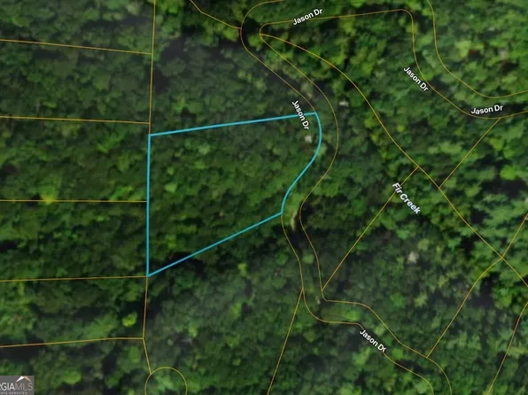 206 Dowel Cir, Ellijay, GA 30540
