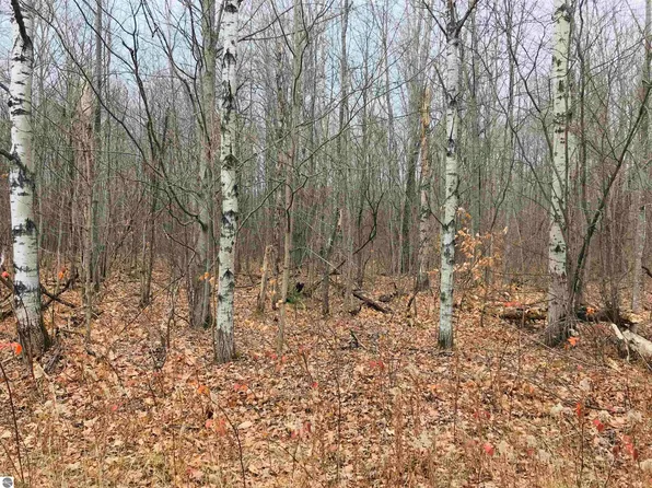 0 Maplewood St, Elmira, MI 49730