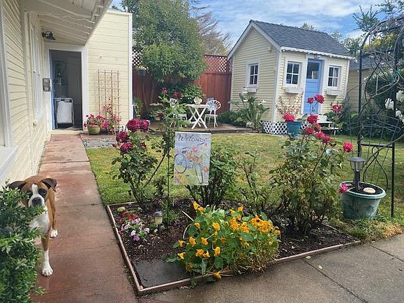 Yard of cottage studio. Toby the boxer is the dog that lives here. Friendly dog.