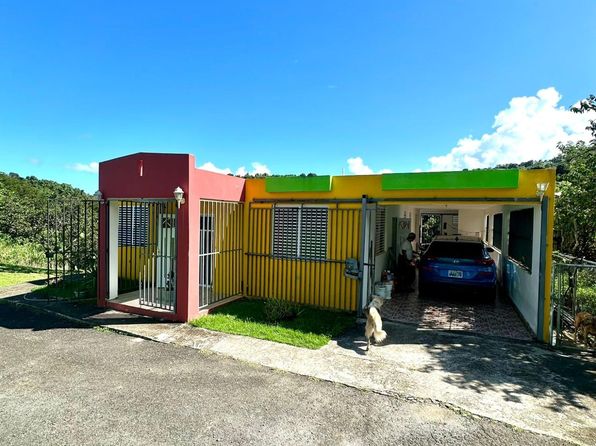 3.5 Carretera #956, Rio Grande, PR 00745