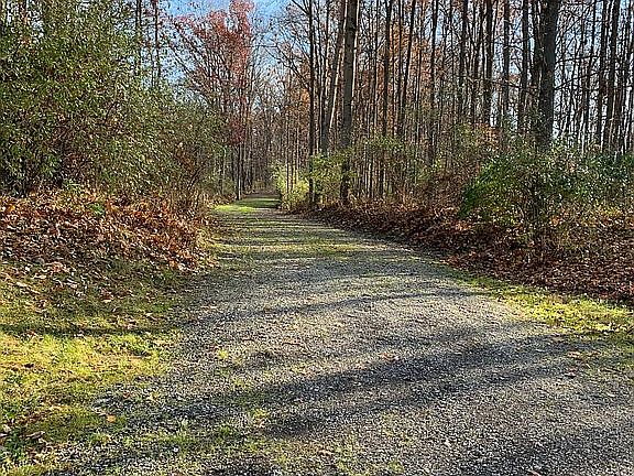 Private drive to Lot 2 (S)