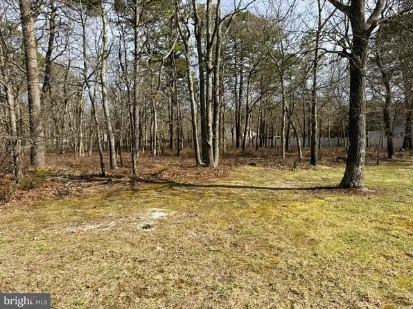 16 Pinewood Dr, Little Egg Harbor, NJ 08087