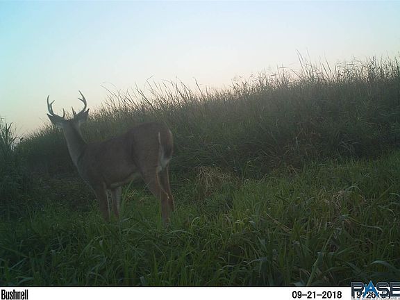 4th image of Avery Trac #1