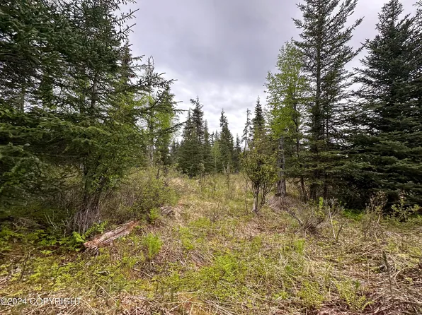 L4 Brillo Rd, Anchor Pt, AK 99556