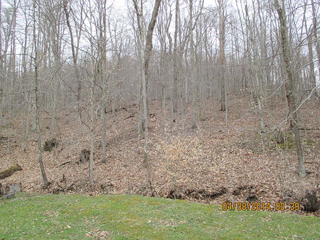 2nd image of 1392 Little Run Rd