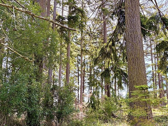 3rd image of 0 Old Cedar Lane