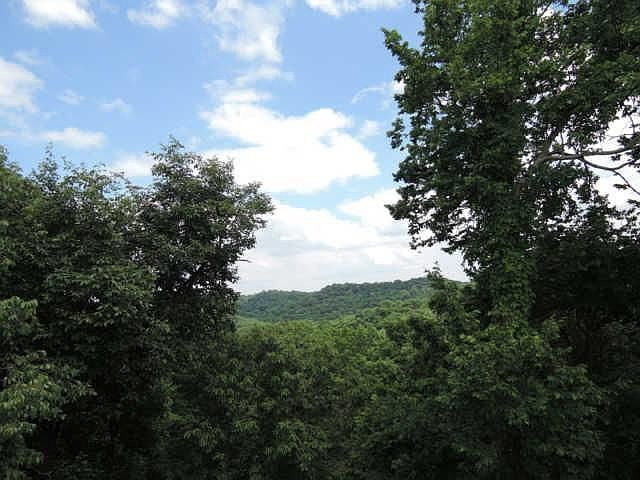 2nd image of 723 Harpeth Trace Dr
