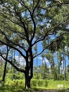 12293 Comalander Rd, Fairhope, AL, 36532