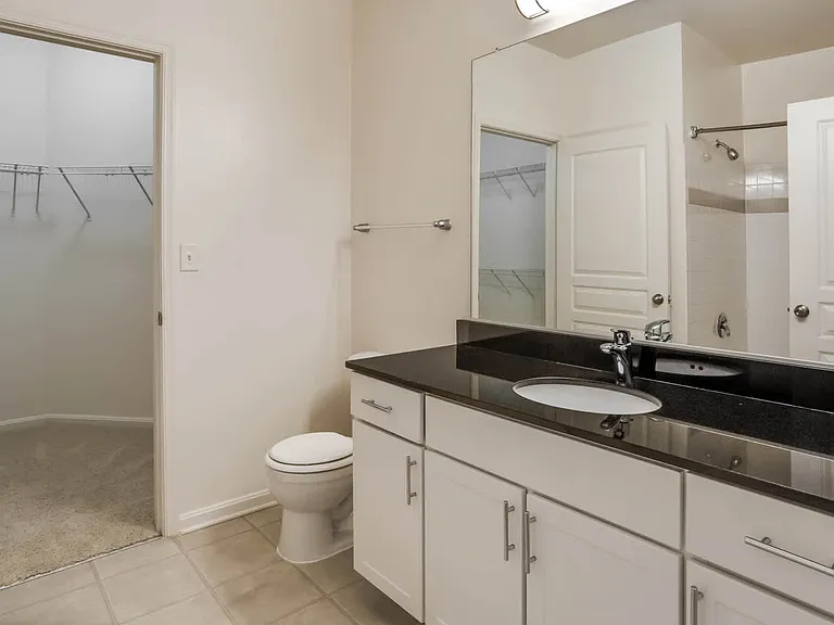 Bathroom and Walk-in Closet