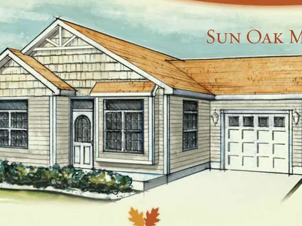 The Cotton Plan, High Sierra