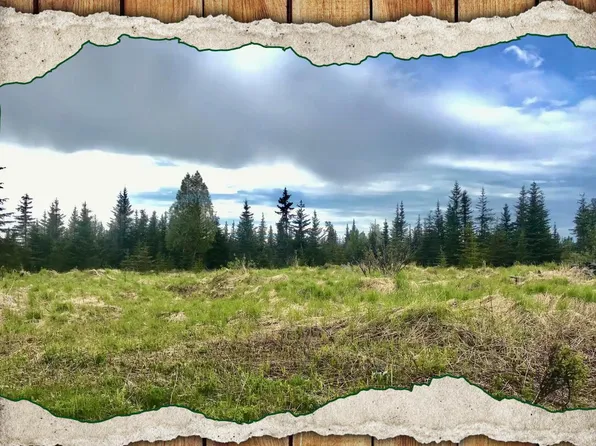 67212 Homestead Rd, Ninilchik, AK 99639