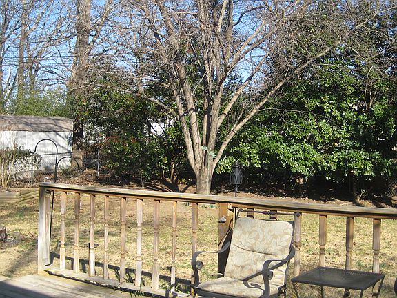 Backyard 1