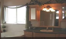 Large master suite with jetted tub and oversized shower and enormous walk-in