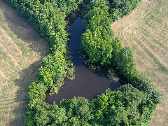 5th image of 0 Davis Mill Rd