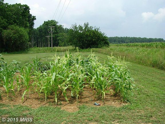 View of Rear Yard and Vegetable Garden