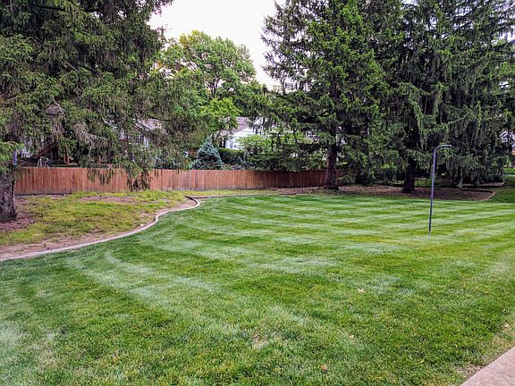 Large back yard