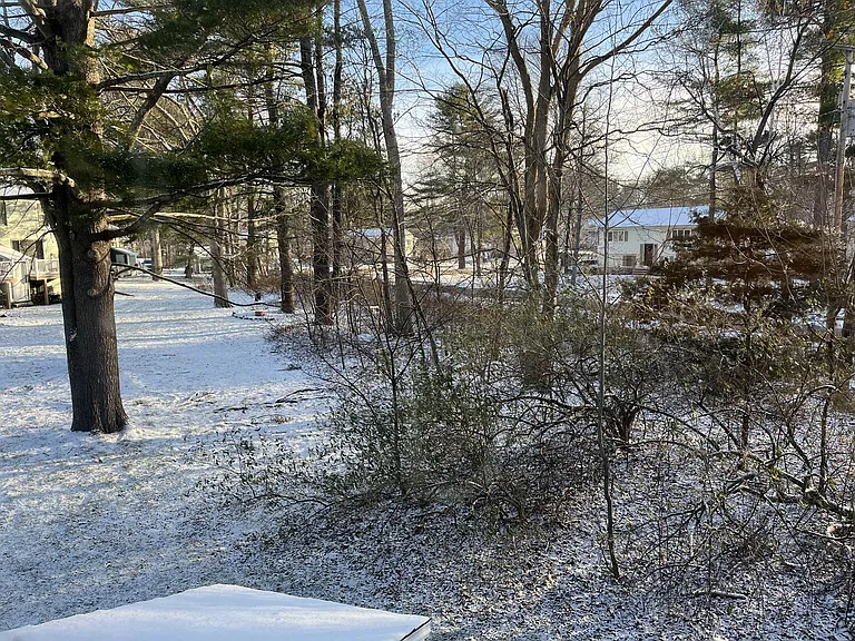 view from upstairs back windows