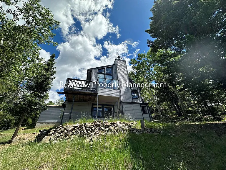 11243 Conifer Mountain Rd — Photo 3