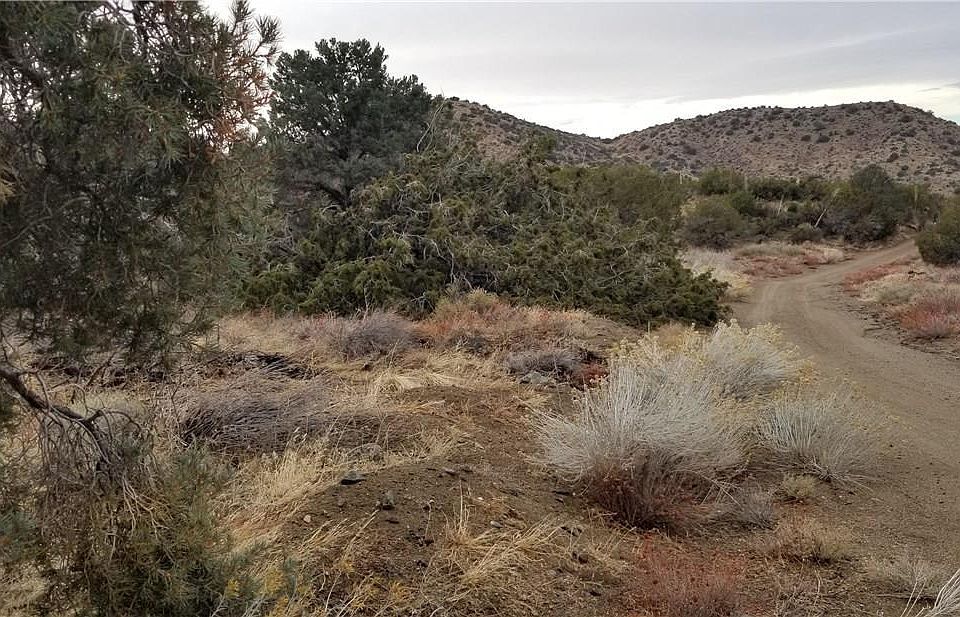 2nd image of Cima Mesa Rd