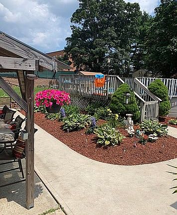 Garden in spring & summer 