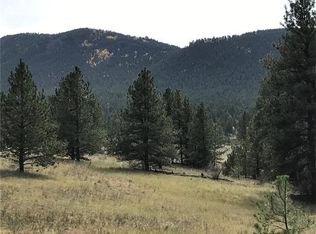 150 Branding Iron Cir, Florissant, CO 80816