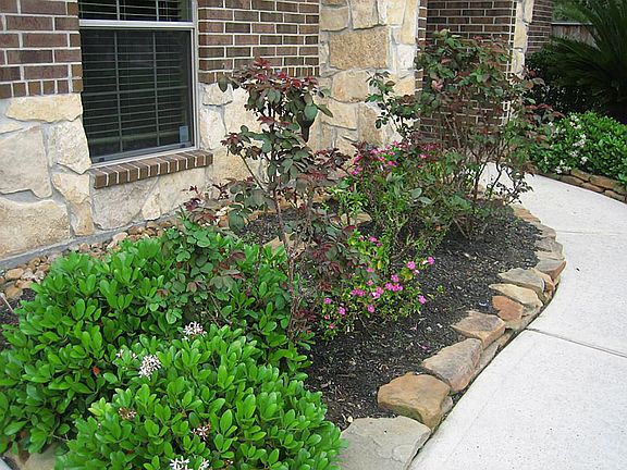 Walkway with lots of plants, takes you to front door