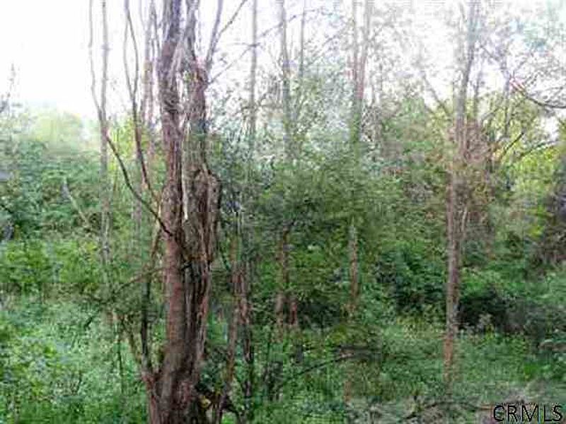 5th image of ANTHONY Avenue