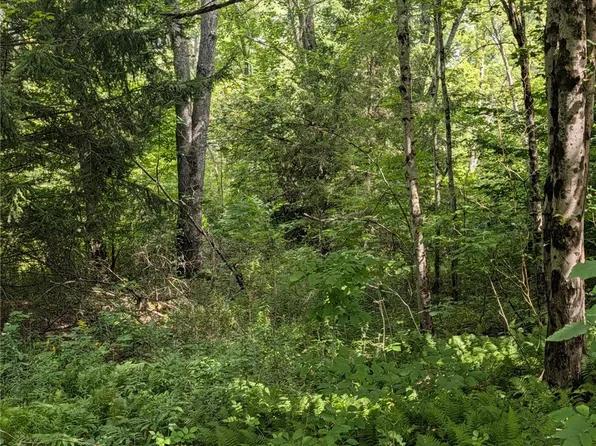E Afton Rd Lot 11, Afton, NY 13730