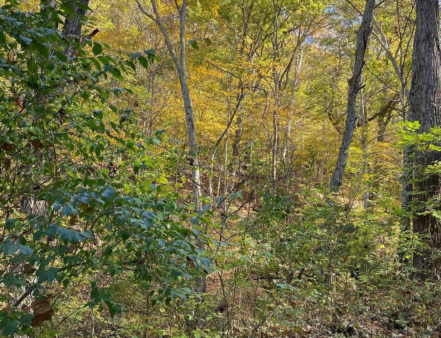 8 Fox Run, Carrollton, KY 41008 | Zillow