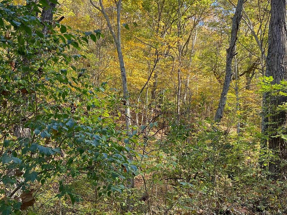2nd image of 8 Fox Run