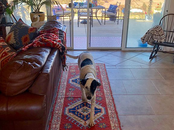 Open, airy floor plan.